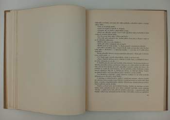 Karel Václav Rais: Kalibův zločin