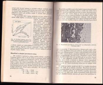 Viktor Walla: Kaličství v kostce