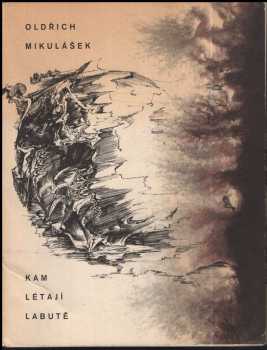 Kam létají labutě