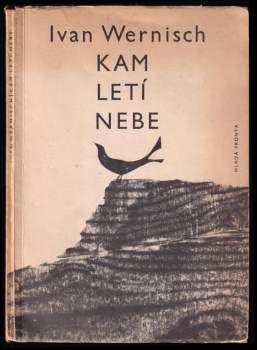 Kam letí nebe