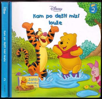Kam po dešti mizí louže