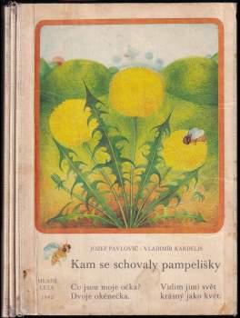 Kam se schovaly pampelišky