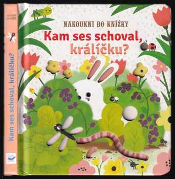 Kam ses schoval, králíčku?