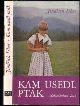 Kam usedl pták