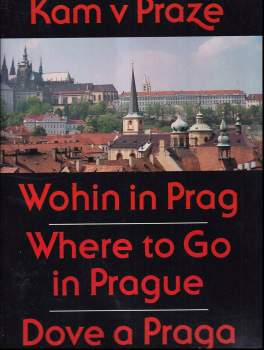 Jan Royt: Kam v Praze a okolí