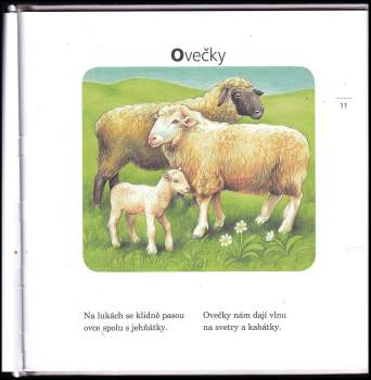 Jiří Žáček: Kamarádi zvířátka ; [ilustrovala Barbora Dančová ... [et al.]]