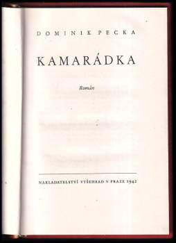 Dominik Pecka: Kamarádka