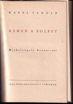 Karel Schulz: Kámen a bolest