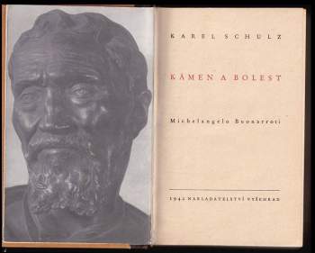 Karel Schulz: Kámen a bolest