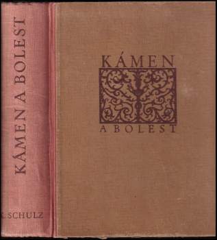 Kámen a bolest : Michelangelo Buonarroti