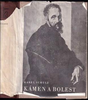Kámen a bolest : Michelangelo Buonarroti