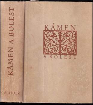 Kámen a bolest : Michelangelo Buonarroti