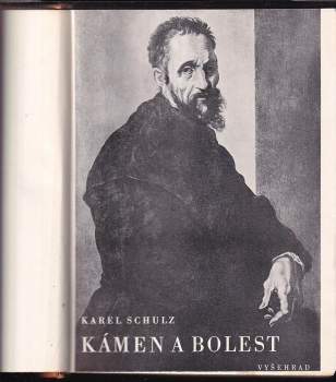 Kámen a bolest : Michelangelo Buonarroti
