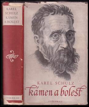 Karel Schulz: Kámen a bolest