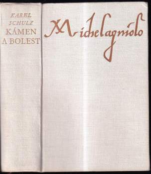 Karel Schulz: Kámen a bolest