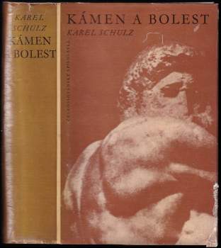Karel Schulz: Kámen a bolest