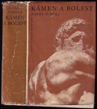 Karel Schulz: Kámen a bolest