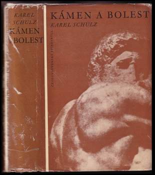 Kámen a bolest