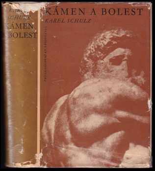 Kámen a bolest : Michelangelo Buonarroti - Karel Schulz (1957, Československý spisovatel) - ID: 651293