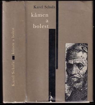 Karel Schulz: Kámen a bolest