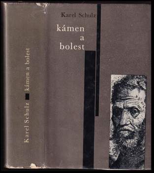 Kámen a bolest