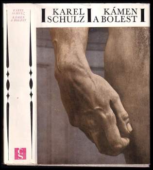 Karel Schulz: Kámen a bolest