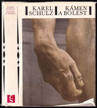 Karel Schulz: Kámen a bolest