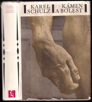 Karel Schulz: Kámen a bolest