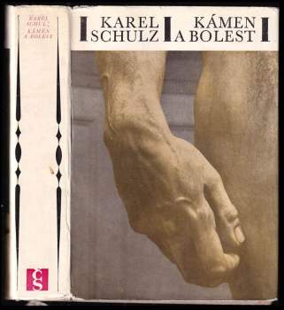 Karel Schulz: Kámen a bolest