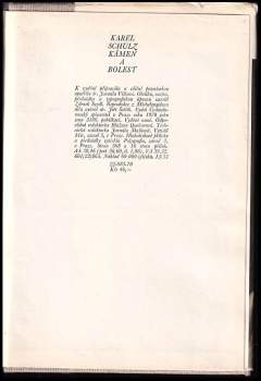 Karel Schulz: Kámen a bolest