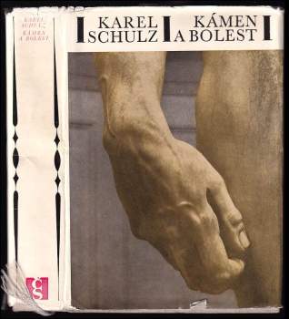 Karel Schulz: Kámen a bolest