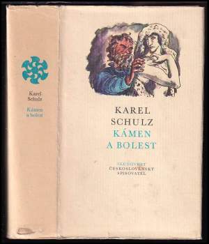 Kámen a bolest : Michelangelo Buonarroti