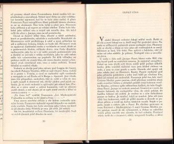 Karel Schulz: Kámen a bolest