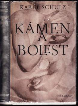 Karel Schulz: Kámen a bolest