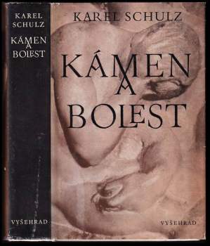 Karel Schulz: Kámen a bolest
