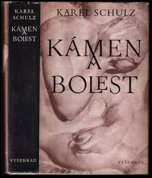 Karel Schulz: Kámen a bolest