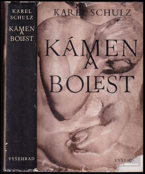 Karel Schulz: Kámen a bolest