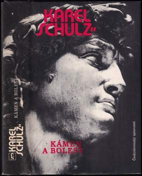 Karel Schulz: Kámen a bolest
