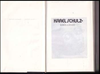 Karel Schulz: Kámen a bolest