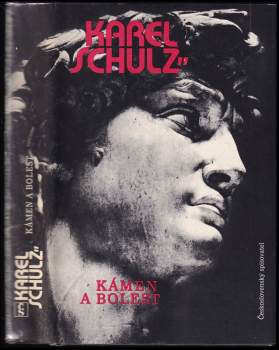 Karel Schulz: Kámen a bolest
