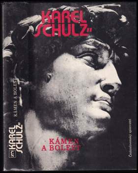 Karel Schulz: Kámen a bolest
