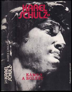 Karel Schulz: Kámen a bolest