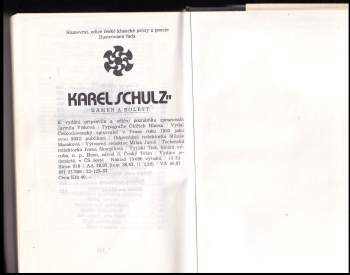 Karel Schulz: Kámen a bolest