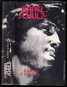 Karel Schulz: Kámen a bolest