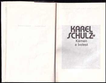 Karel Schulz: Kámen a bolest