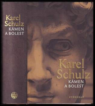 Kámen a bolest