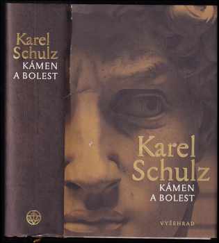 Kámen a bolest