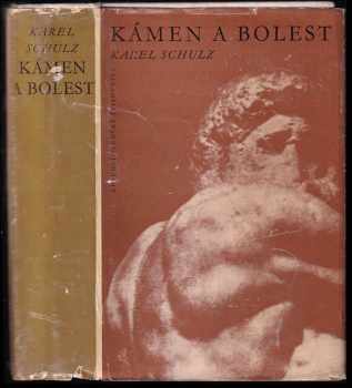 Karel Schulz: Kámen a bolest - Michelangelo Buonarroti