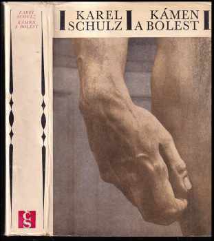 Karel Schulz: Kámen a bolest : [román o Michelangelovi Buonarroti]