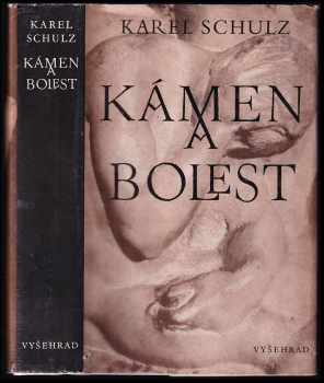 Kámen a bolest : Michelangelovy kresby